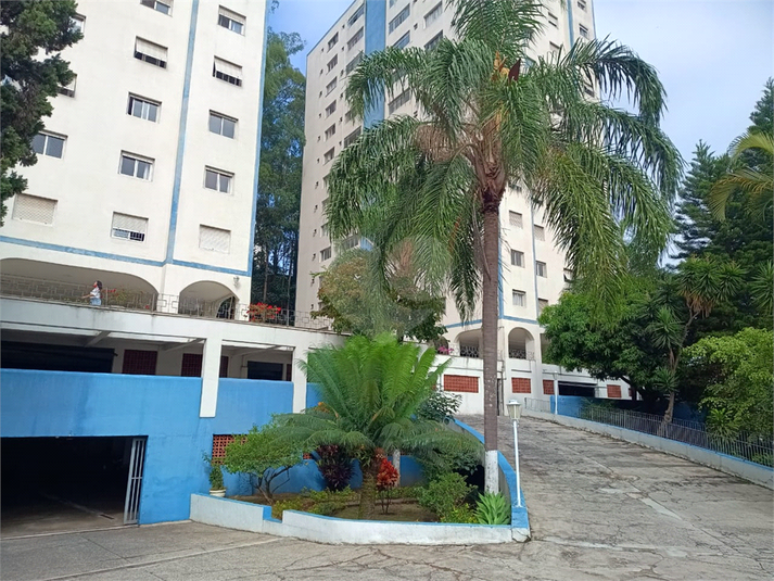 Foto REO1078080