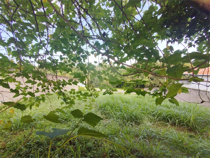 Foto REO1078087