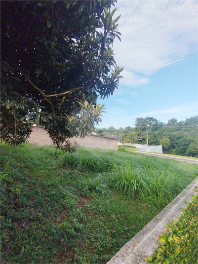 Foto REO1078087