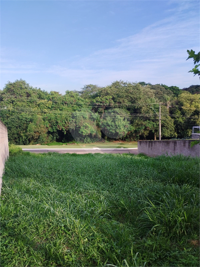 Foto REO1078087