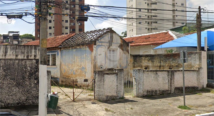 Foto REO1078109