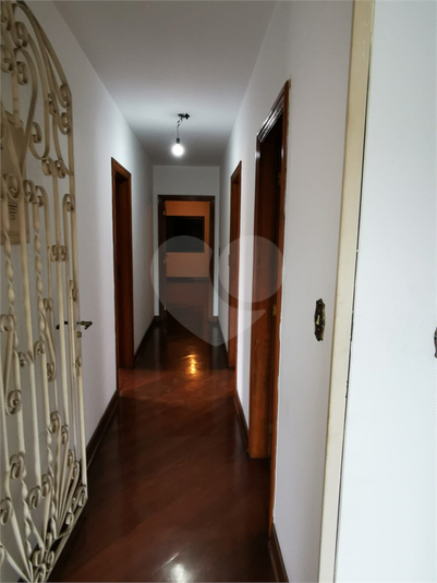 Foto REO1078121