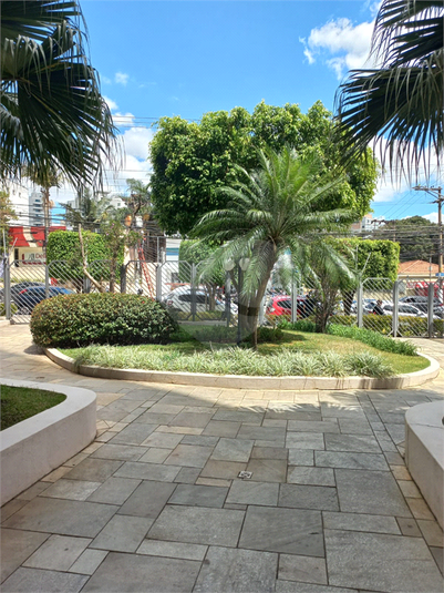Foto REO1078125