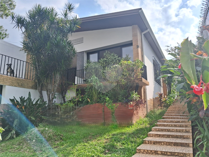 Foto REO1078162