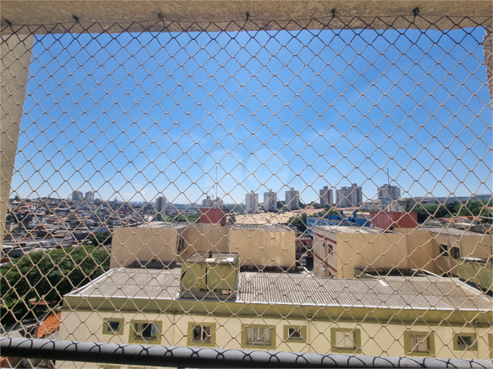 Foto REO1078167