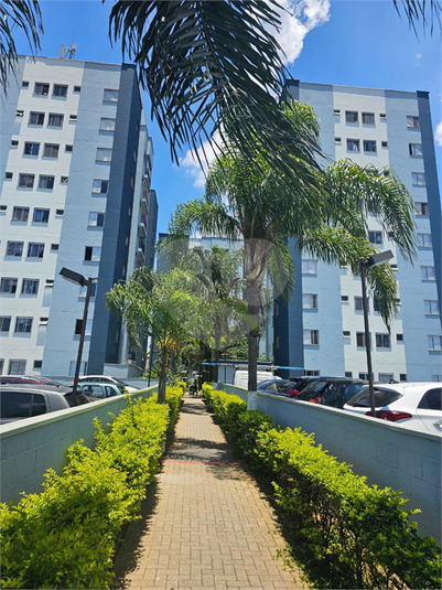 Foto REO1078185