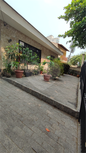 Foto REO1078195