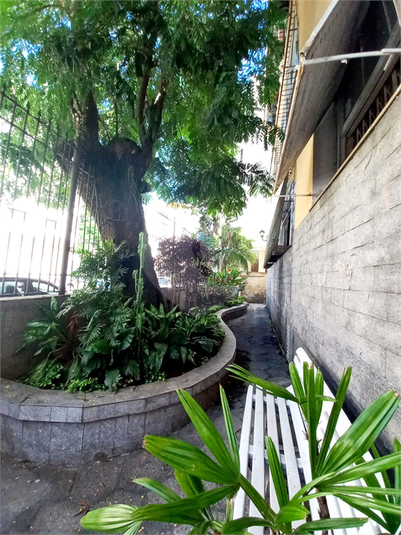 Foto REO1078199