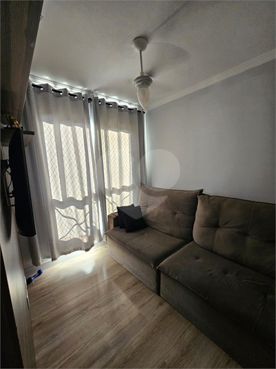 Foto REO1078240