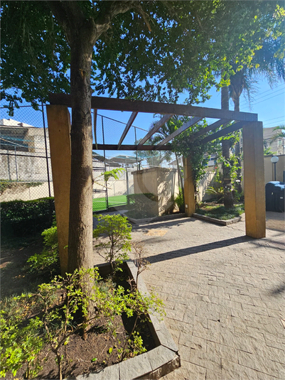 Foto REO1078240