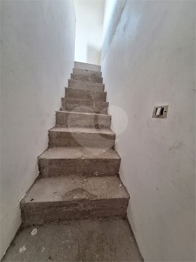 Foto REO1078275