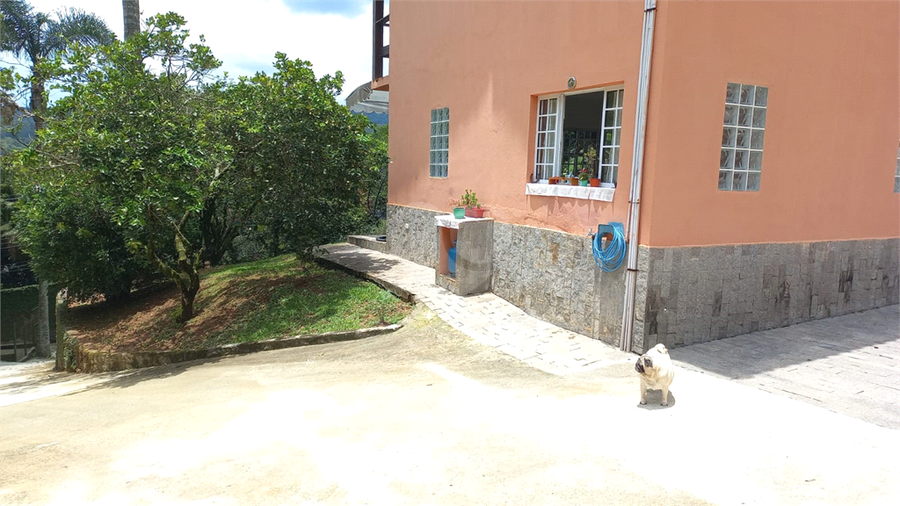 Foto REO1078298