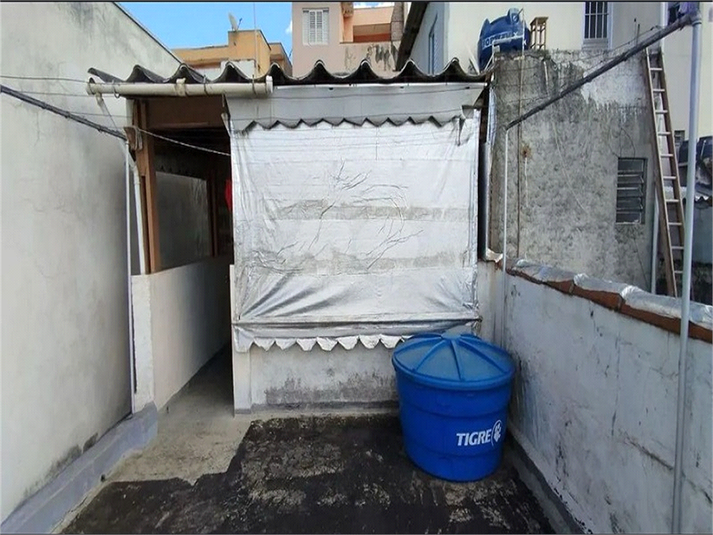 Foto REO1078302