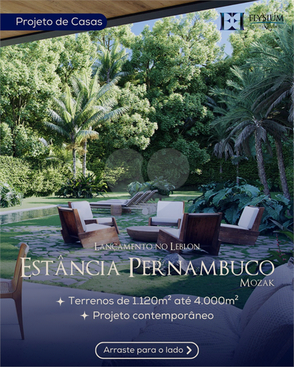 Foto REO1078333