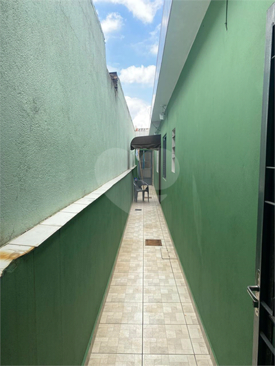 Foto REO1078344