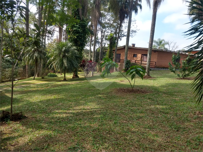 Foto REO1078355