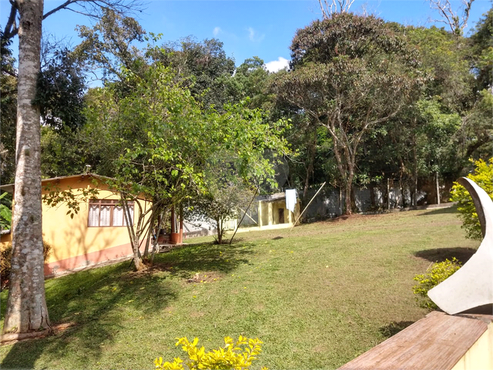 Foto REO1078355