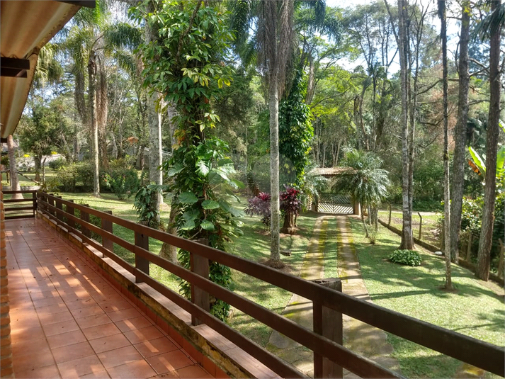 Foto REO1078355