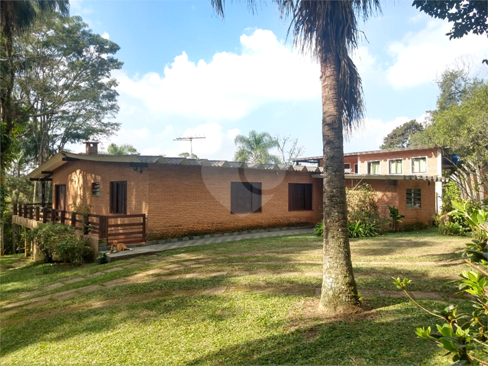 Foto REO1078355