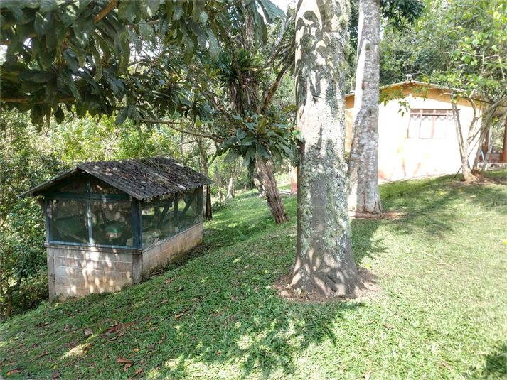 Foto REO1078355