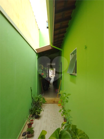 Foto REO1078376