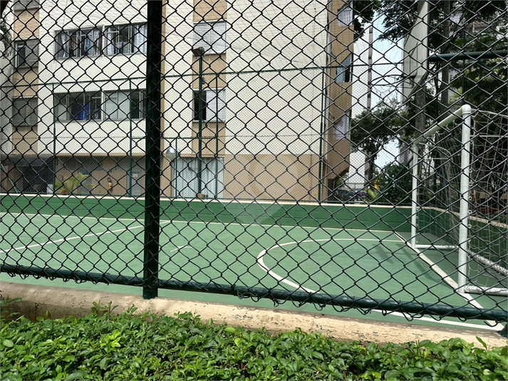 Foto REO1078412