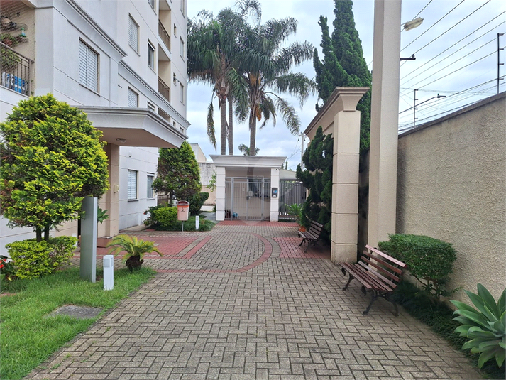 Foto REO1078421