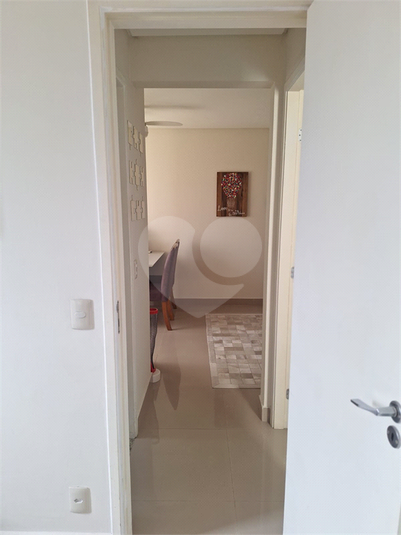 Foto REO1078421