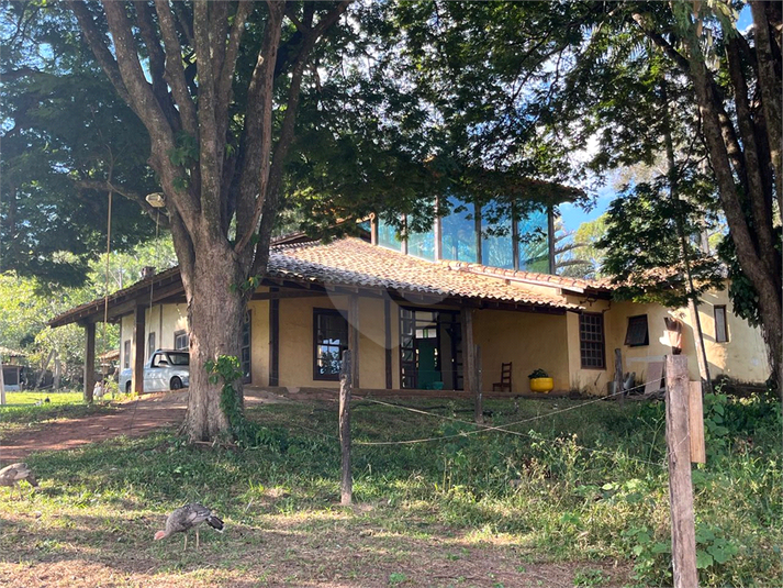 Foto REO1078429
