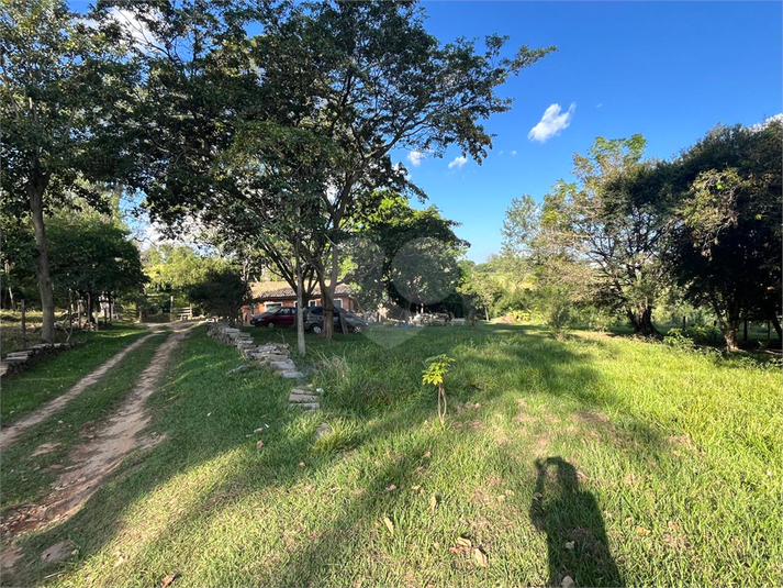 Foto REO1078429