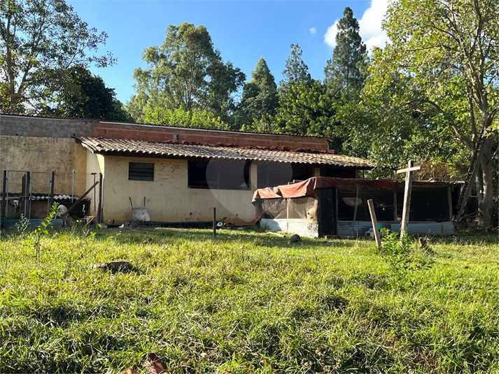 Foto REO1078429