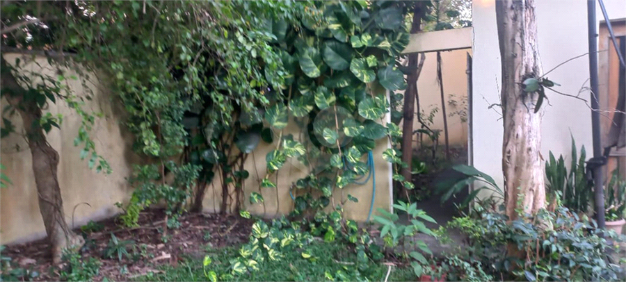 Foto REO1078432