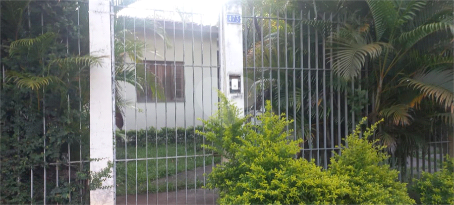 Foto REO1078432