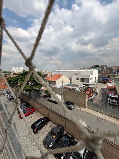 Foto REO1078438
