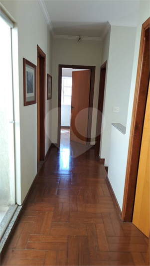 Foto REO1078442