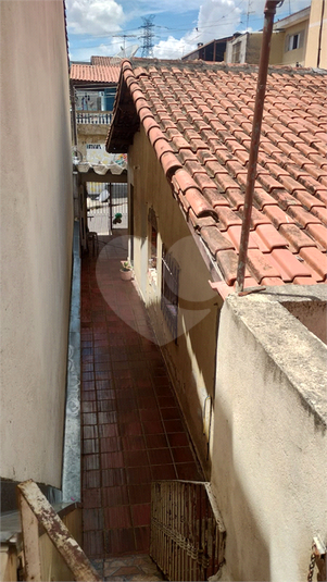 Foto REO1078465