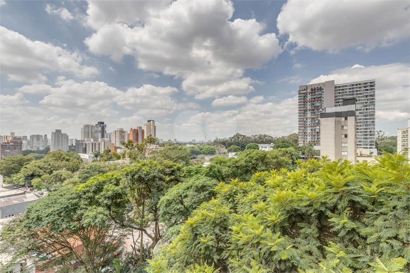 Foto REO1078521