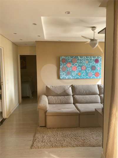 Foto REO1078531