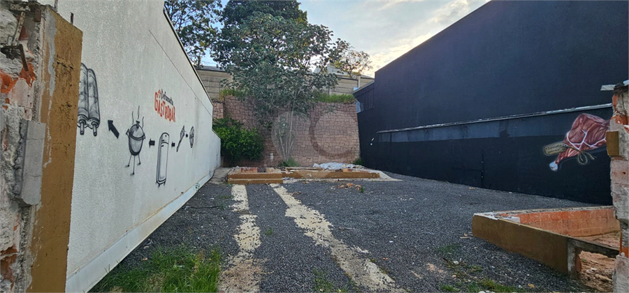 Foto REO1078559