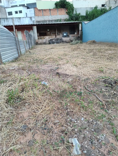 Foto REO1078563