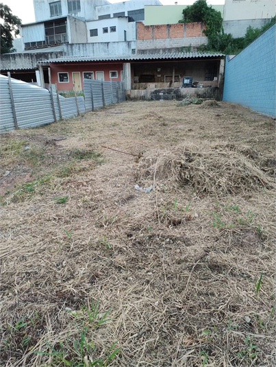 Foto REO1078563
