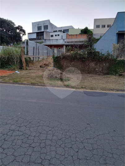Foto REO1078563