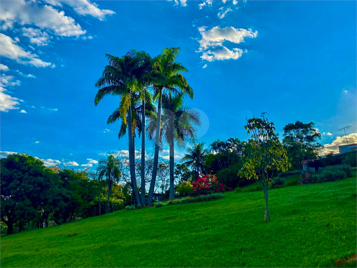 Foto REO1078571