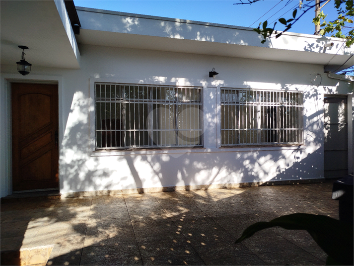 Foto REO1078610