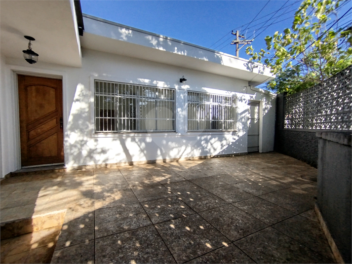 Foto REO1078610