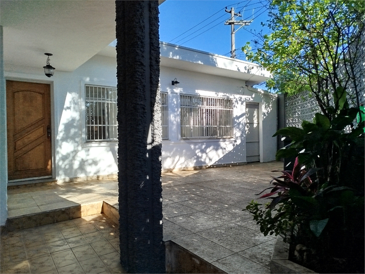Foto REO1078610