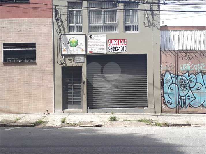 Foto REO1078612