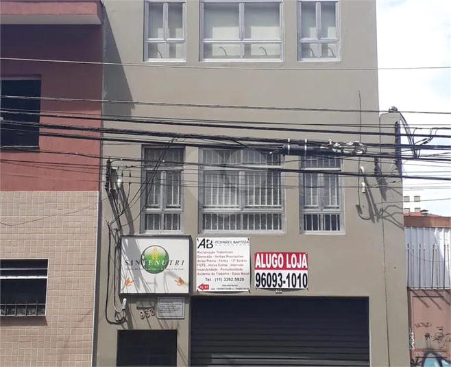 Foto REO1078612