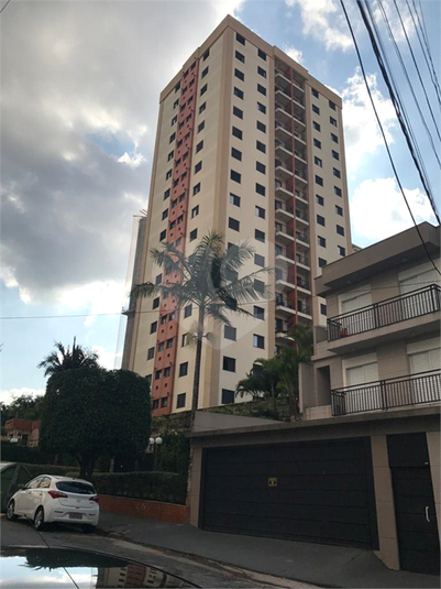 Foto REO1078636
