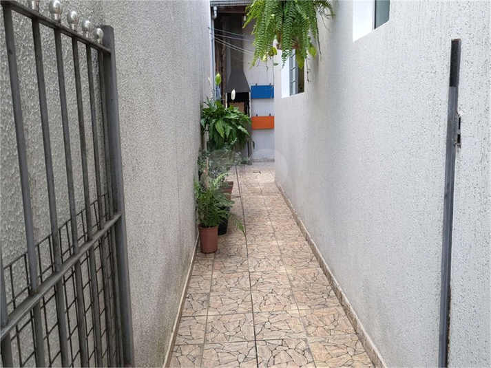 Foto REO1078661